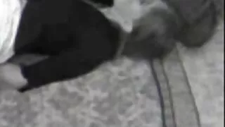 A masturbação na casa de banho video de sexo de desenho transforma-se suavemente em sexo inter-racial