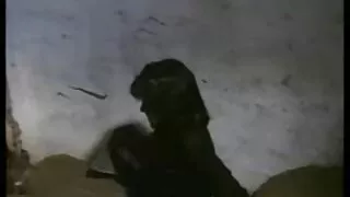 Jovem ruiva jovem insere um vibrador de vidro video de sexo desenho no seu rabo