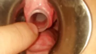 Ardente Morena Sha estati verões montando um pau grande e grosso video de sexo de desenho animado